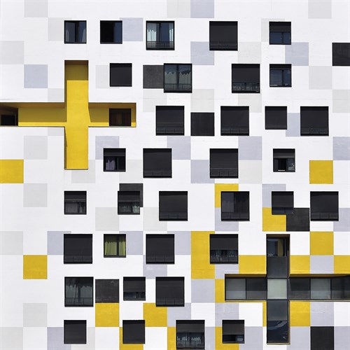 Pattern Within - Ash Camas