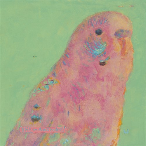Pop Birds - Flutter - Roy Woodard