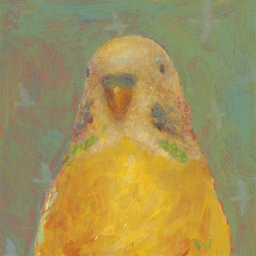 Pop Birds - Flit - Roy Woodard
