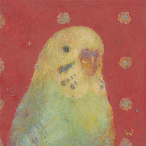 Pop Birds - Soar - Roy Woodard