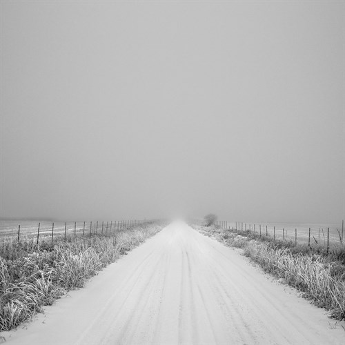 Winter Path - Andrew Geiger