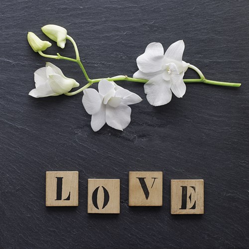 Orchid Love - Camille Soulayrol