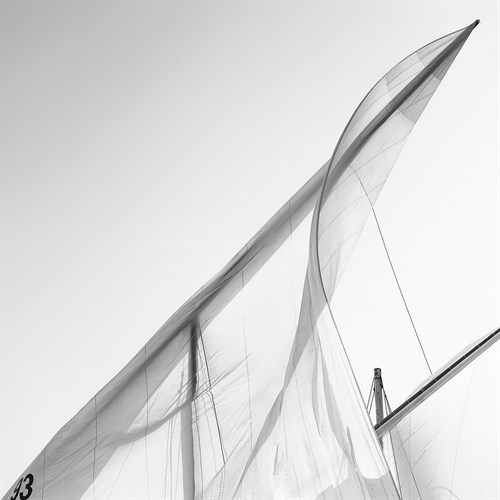 Absolute Bearing - Anthony Lamb