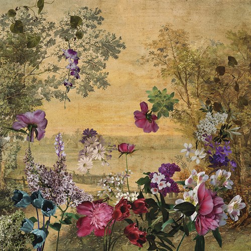 Midsummer Dreams - Stefan Jans