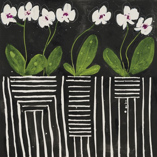 Patterned Floral - Trio - Susan Brown