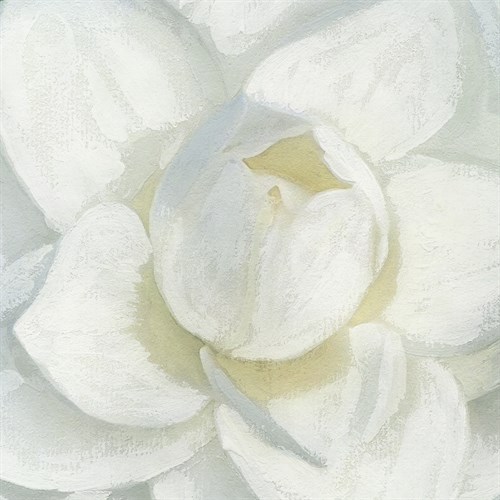 Floral Fresh - Close - Belle Poesia