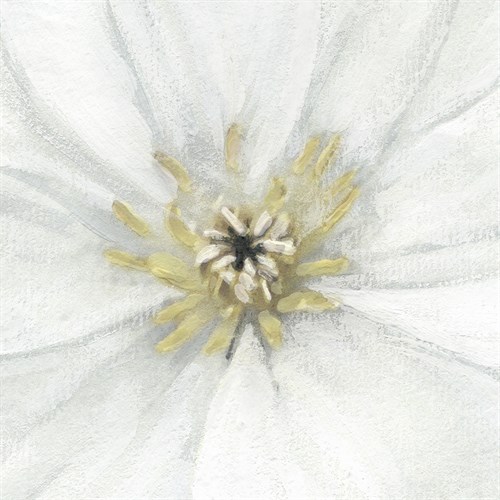 Floral Fresh - Focus - Belle Poesia