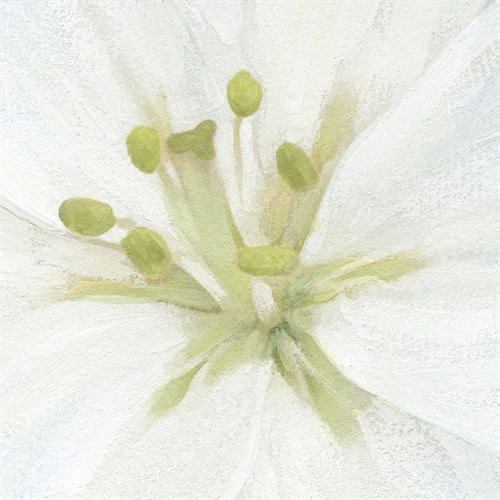 Floral Fresh - Focal - Belle Poesia