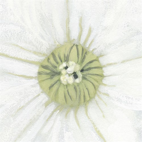 Floral Fresh - Center - Belle Poesia