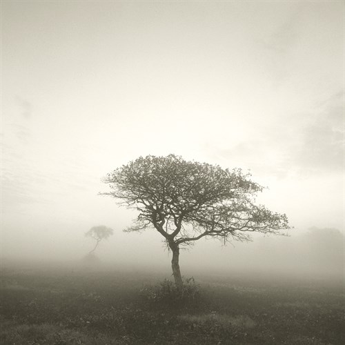 Wilderness - Hardy - Michael Kahn