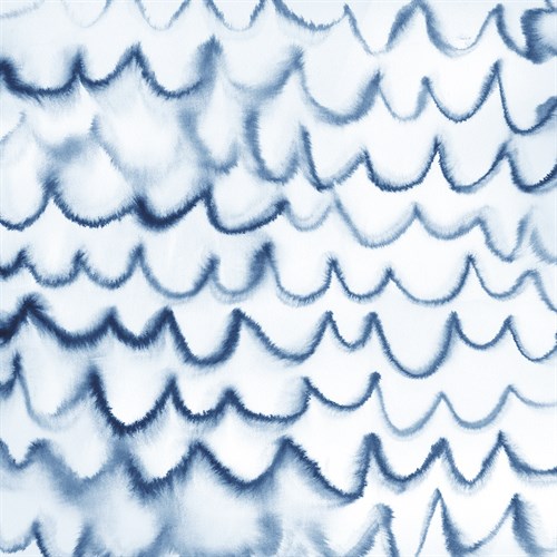Scallop - Maja Gunnarsdottir
