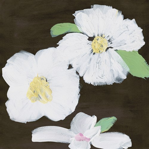 Modern Floral - Blossom - Belle Poesia