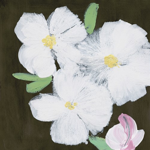 Modern Floral - Trio - Belle Poesia