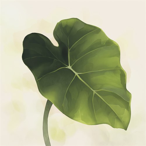 Easy Tropics - Prosper - Aria Ellis