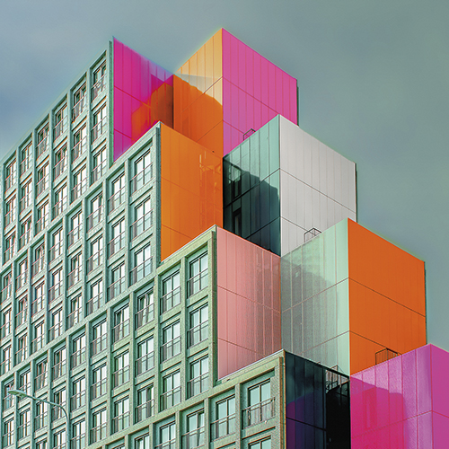 Building Brights - Ash Camas