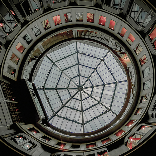 Convex Skylight - Ash Camas