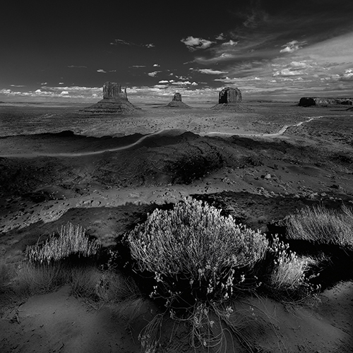 Desert Monument - Vista - Howard  Kingsnorth