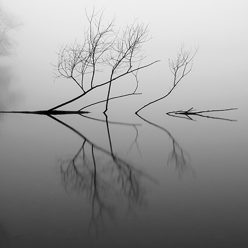 Inertia I - Steen Doessing