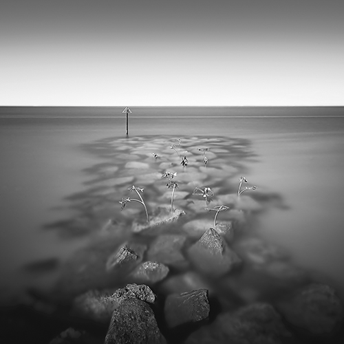 Intertidal - Steen Doessing