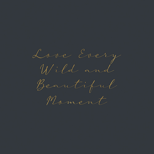 Beautiful Moment  - Joni Whyte