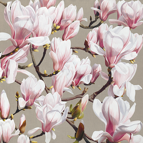 Those Two Perfect Weeks in Spring - Sarah Caswell