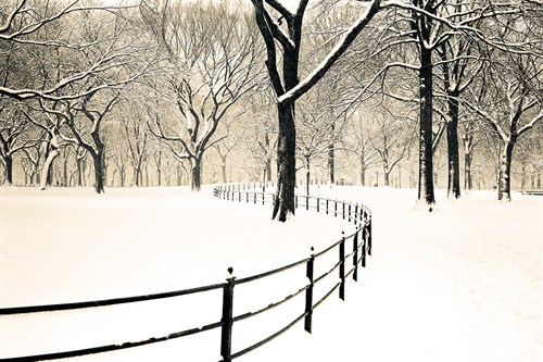 Central Park Snow - Andrew Geiger