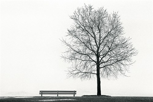 Place to Rest - Jay Wesler