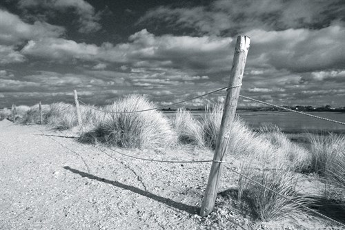 Afternoon Dune - John Harper