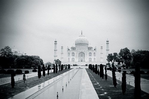 Taj Vista - John Harper