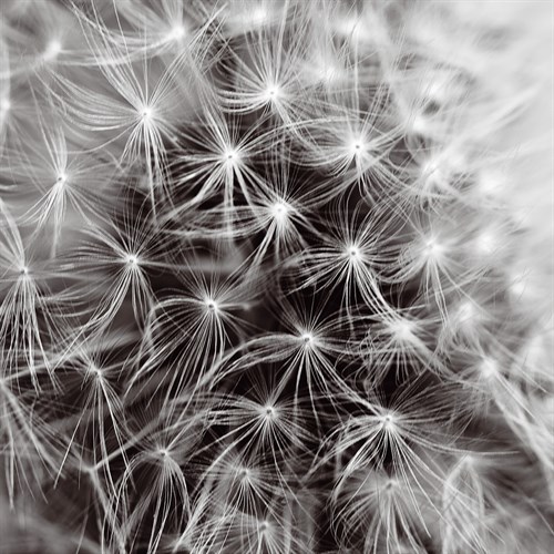 Inner Space - Joseph Eta
