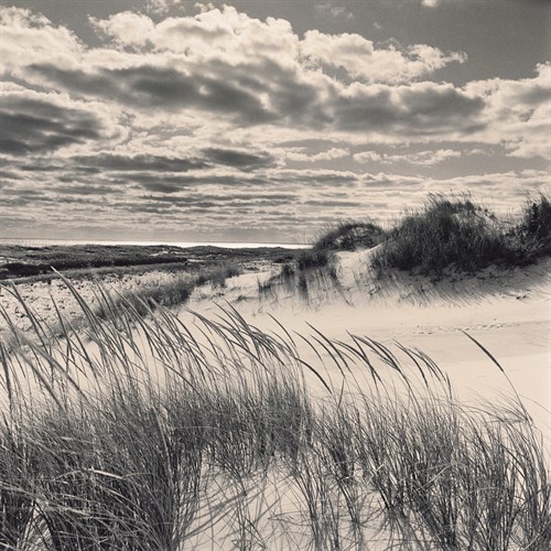 Beyond - Michael Kahn