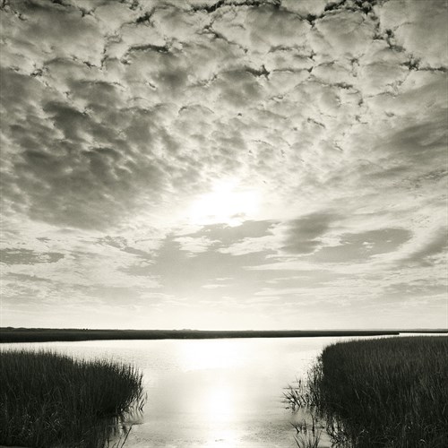 Through The Marsh - Michael Kahn