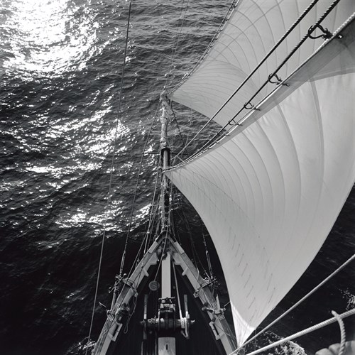 Pride of Baltimore Bow Look Down - Michael Kahn
