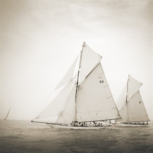 Tuiga and Moonbeam - Michael Kahn