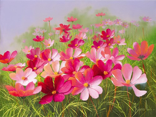 In The Pink - Mary Dipnall