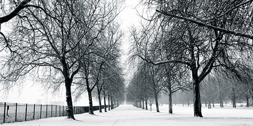White Avenue - Joseph Eta