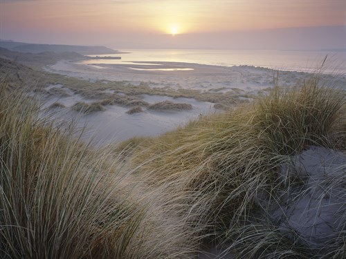Budle, Misty Sunset - Joe Cornish
