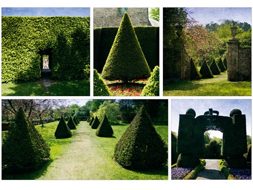 Topiary - Pete Kelly