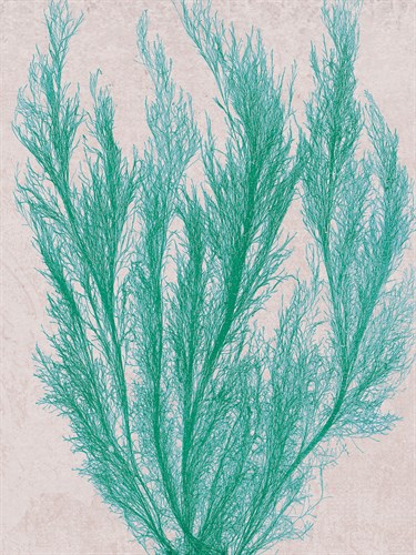 Emerald Sea IV - Henry Bradbury