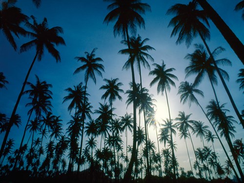 Island Evening II - Mike Toy