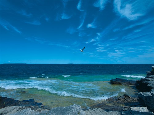 Turquoise Tide - Mike Toy