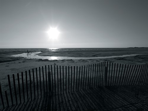 Coastal Path I - Mike Toy