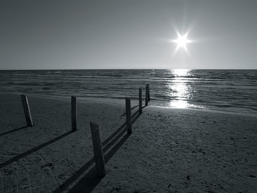 Coastal Path II - Mike Toy