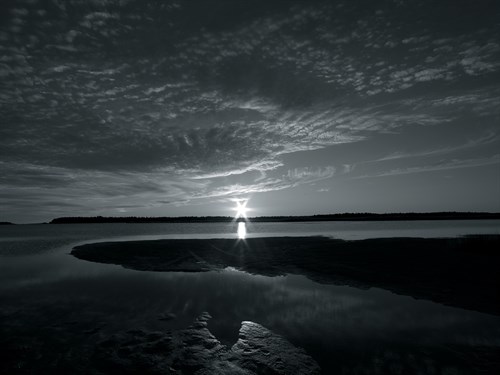 Coastal Path III - Mike Toy