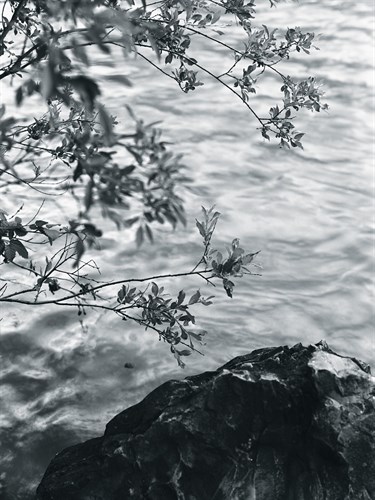Ripples - Andrew Geiger