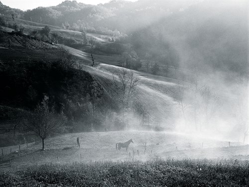 High Pasture - Andrew Geiger