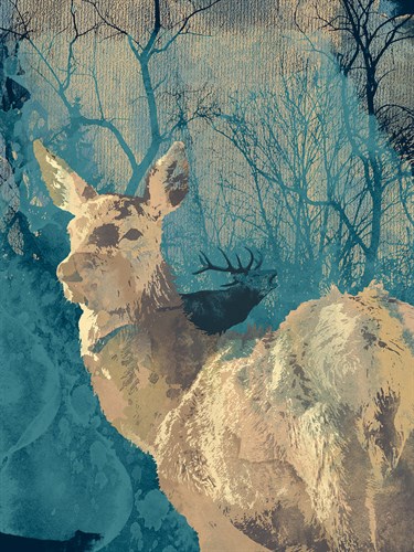 Deerhood IV - Ken Hurd
