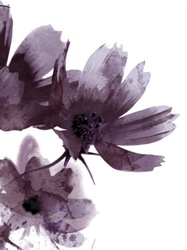Moonflower I - Ken Hurd