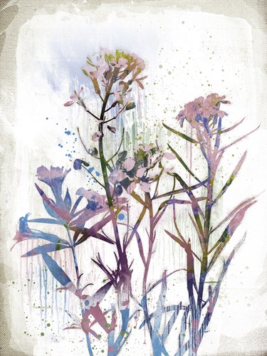 Flower Mist I - Ken Hurd
