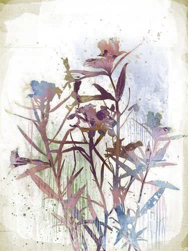 Flower Mist II - Ken Hurd